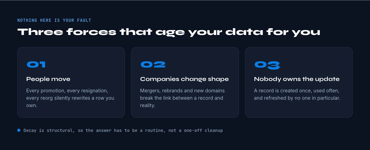 the structural drivers of B2B data decay