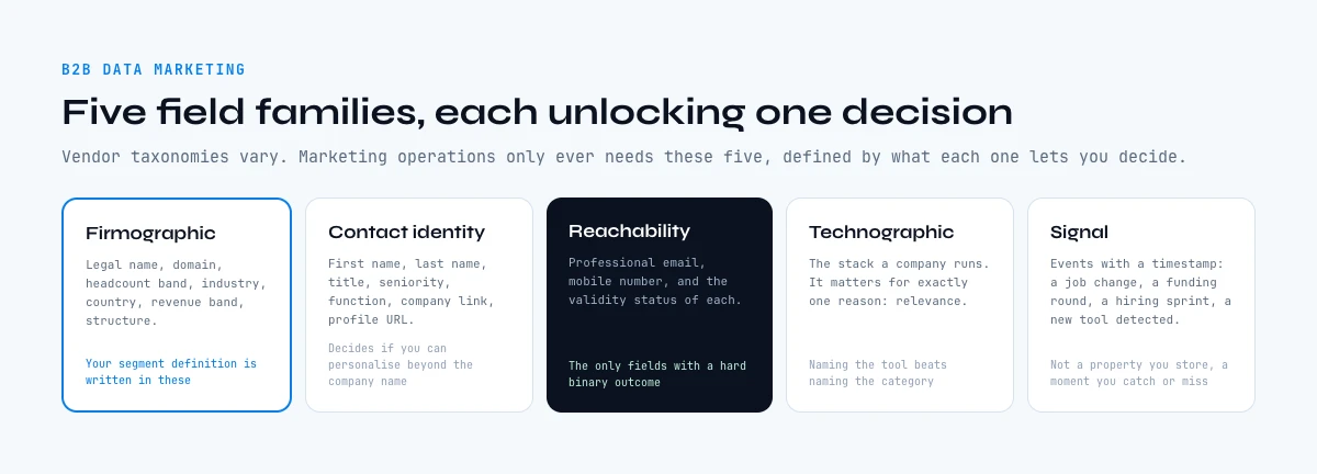 The five field families behind every B2B data marketing campaign