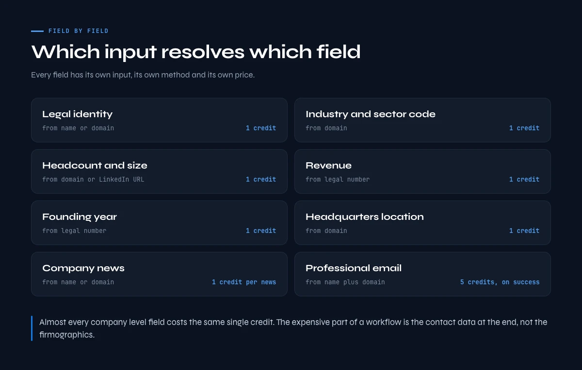 Company enrichment field map: which input resolves which field
