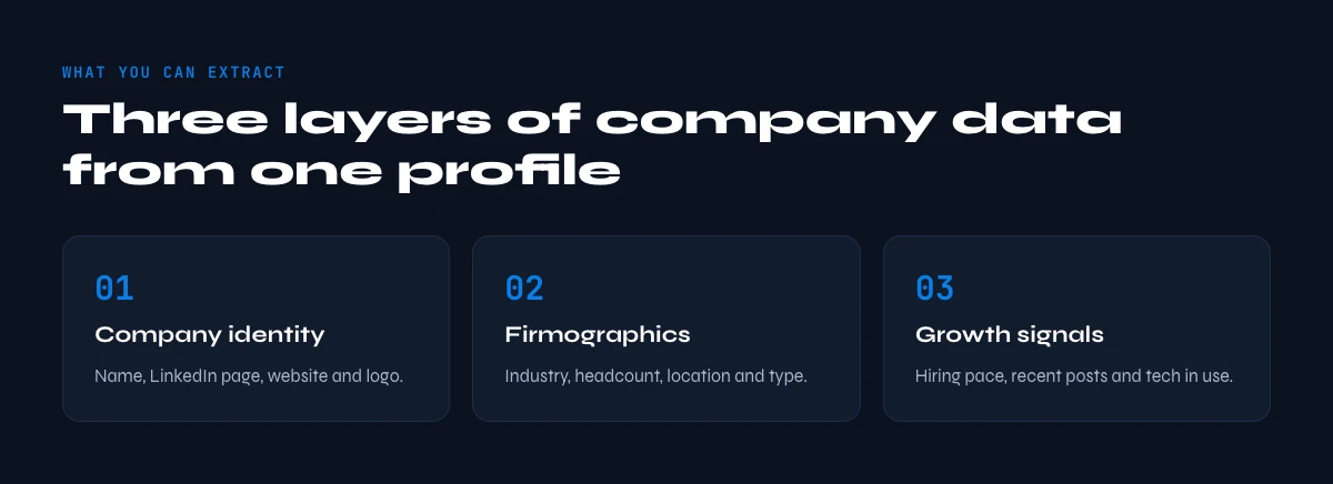 company data extracted from a LinkedIn profile URL
