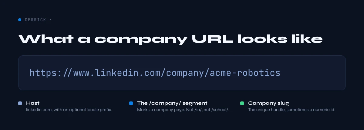 anatomy of a LinkedIn company URL