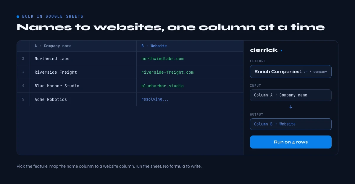 Find company websites in bulk from names with Derrick