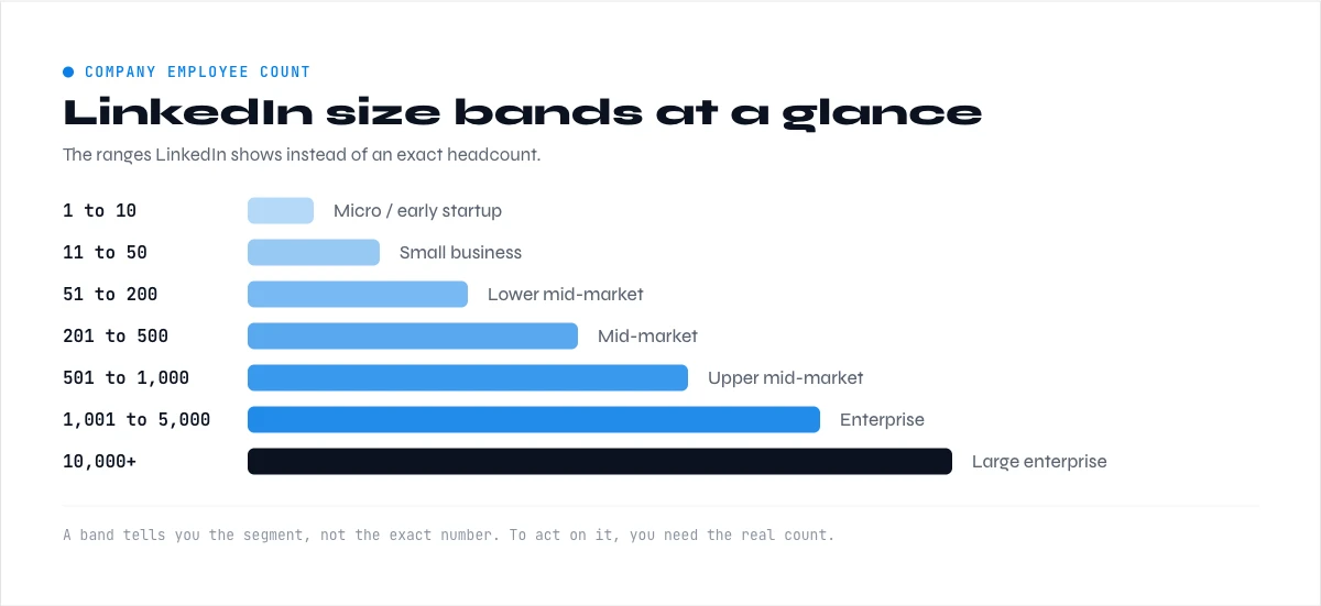 company employee count by LinkedIn size band