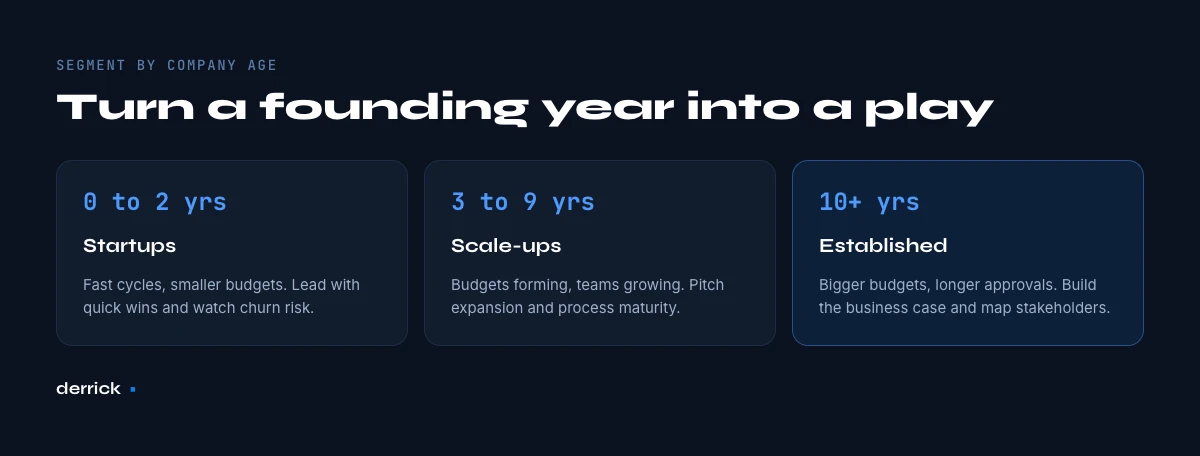 segment prospects by company age and founding year