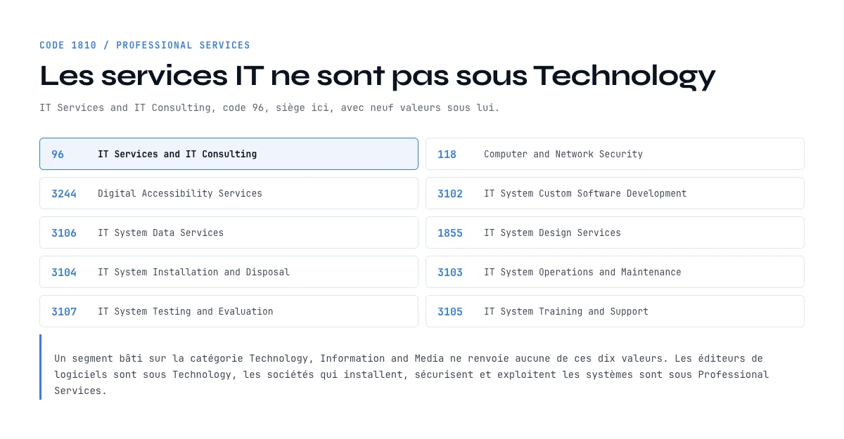 Liste des secteurs LinkedIn : les 10 valeurs de services IT rangées sous Professional Services