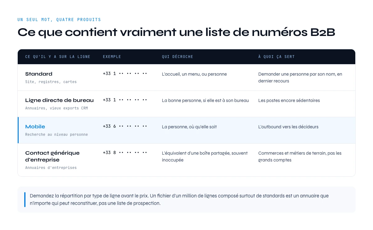 Ce que contient une liste de numeros de telephone B2B : standard, ligne directe, mobile et contact generique