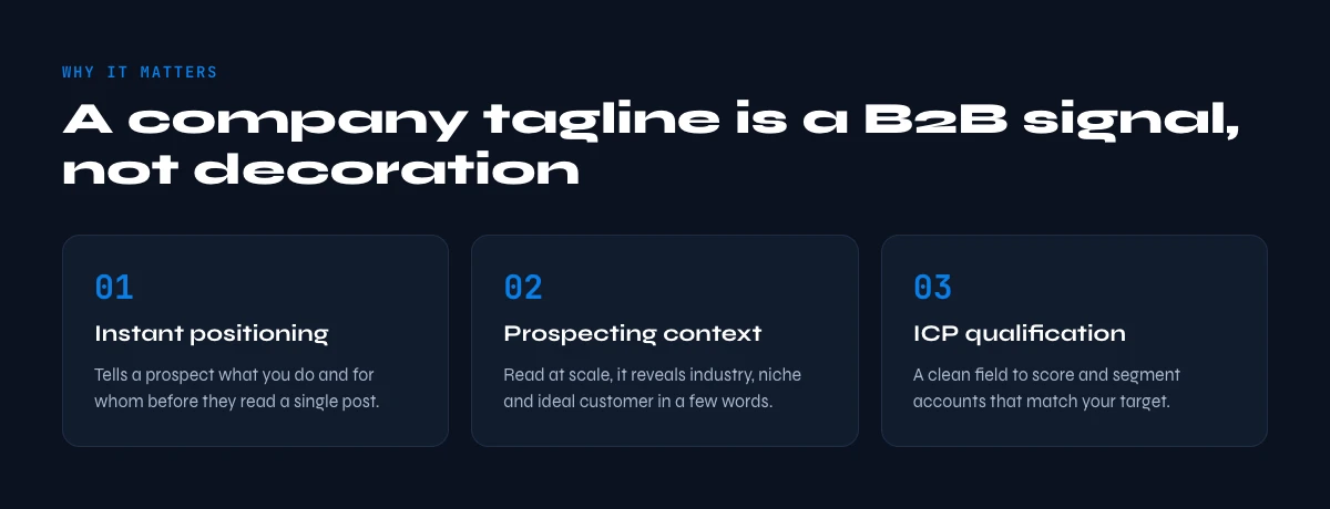 company tagline LinkedIn pour les professionnels B2B