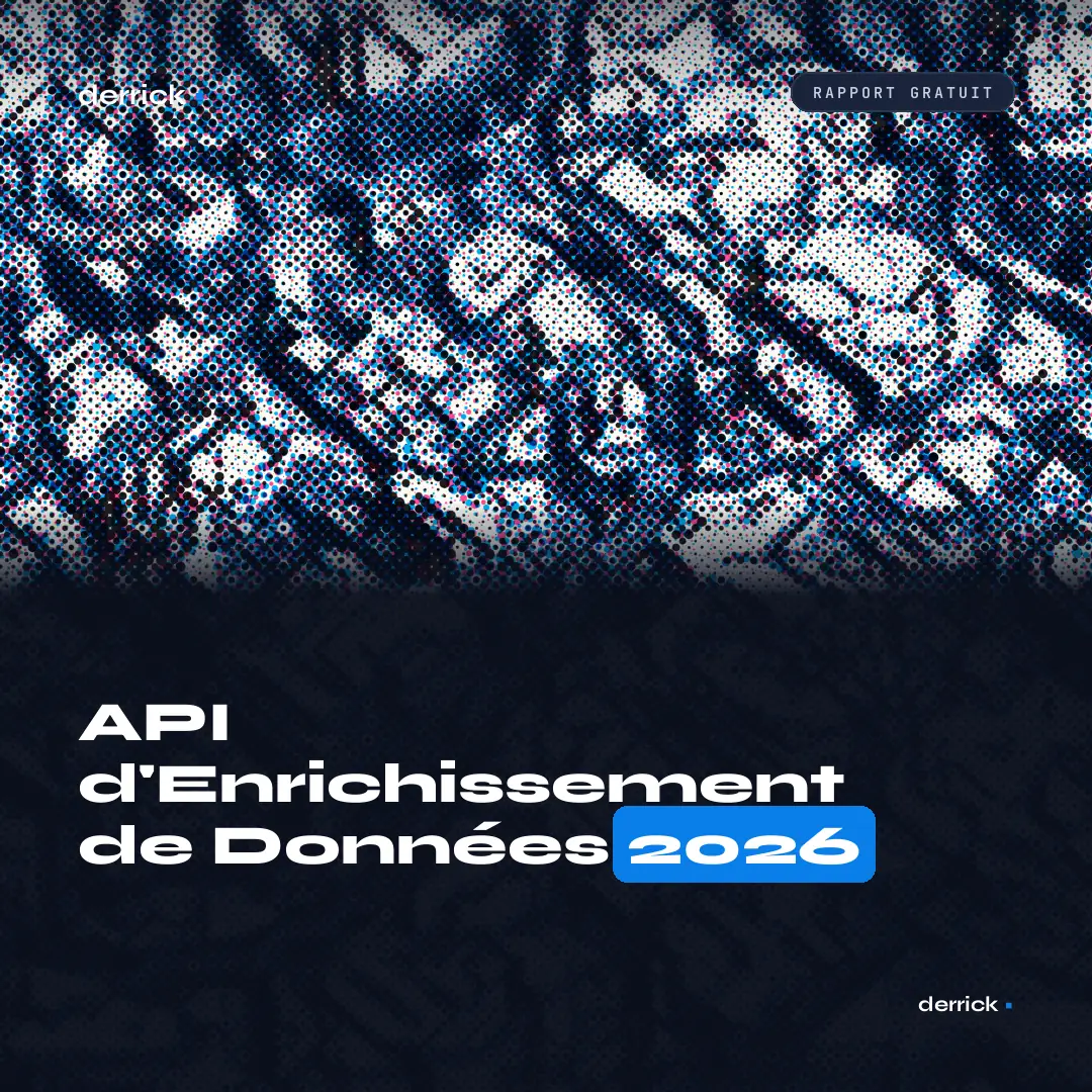 Rapport API d'Enrichissement de Données 2026 par Derrick