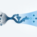 b2b-demographic-data-definition-types-amp-complete-usage-guide